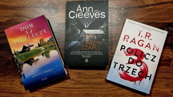 Książka na weekend – mroczny kryminał na grudniowy weekend