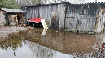 Luciąża ostrzega, Pilica bezpieczna