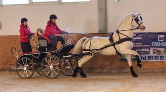 Wiemy kto powozi najlepiej (FOTO)