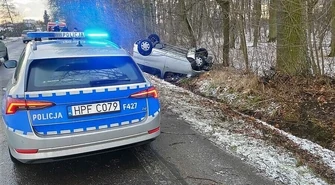 Dachowanie w gminie Gorzkowice