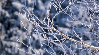 Jak długo utrzyma się zimowa pogoda?