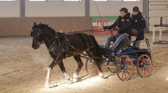 Kolejne zmagania w powożeniu