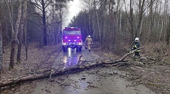 Sprzątanie po Nadii zakończone