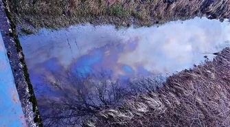 Zanieczyszczenie w jednej z piotrkowskich rzek