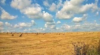 Rośnie liczba wypadków w rolnictwie