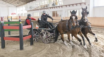 Zakończono zmagania w powożeniu  [ZDJĘCIA]