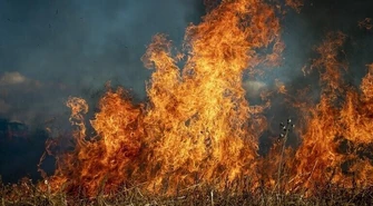 Wypalanie traw prowadzi do tragedii. Straż ponawia apele