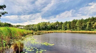 Odkrywamy znane i nieznane - Uroczysko Święte Ługi