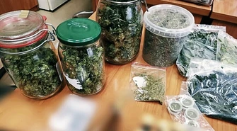 Ponad 650 gramów i domowa uprawa