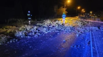 Samochód uderzył w powalone drzewo