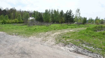 Utwardzą ulicę Goździków