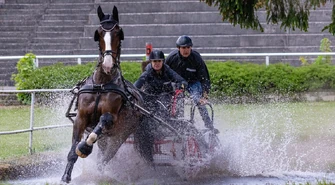 Powozili w Stadzie Ogierów w Bogusławicach