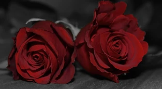 Starostwo zaprasza na Galę Samorządu