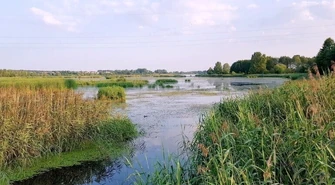 &#1055;&#1086;&#1087;&#1088;&#1080;&#1073;&#1080;&#1088;&#1072;&#1081;&#1084;&#1086; &#1086;&#1082;&#1086;&#1083;&#1080;&#1094;&#1110; &#1055;&#1100;&#1086;&#1090;&#1088;&#1082;&#1091;&#1074;&#1072; &#1088;&#1072;&#1079;&#1086;&#1084;