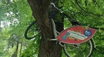 Piotrkowski rower "nadrzewny"