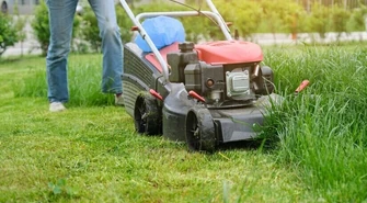 Kto zgubił kosiarkę spalinową?