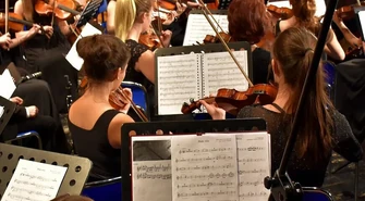 Orkiestra kameralna zagra w parku