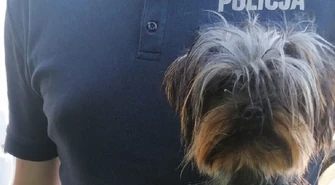 W upalny dzień zostawił psa w zamkniętym aucie