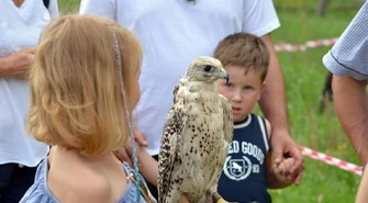 Wakacje pełne wypraw z GOKiS-em