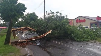 Drzewo zablokowało drogę