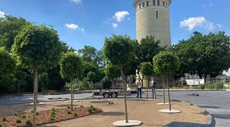 Na dworcu drzew nie zabraknie