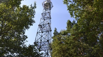 Wieże, które chronią piotrkowskie lasy
