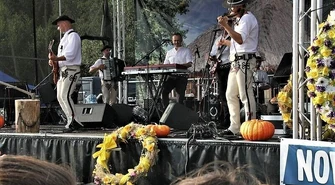 Moc dożynkowych atrakcji w całym regionie