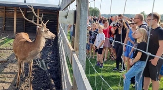 Piknik w Leśnej Osadzie Edukacyjnej (ZDJĘCIA)