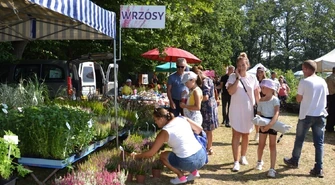 Trwa jubileuszowa ROL-SZANSA  [ZDJĘCIA]