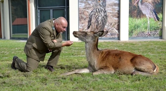 Leśna Osada już oficjalnie otwarta!