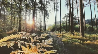 Wybrano najpiękniejsze zdjęcia "Mojej Małej Ojczyzny"