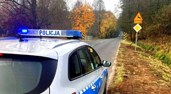 Jedna doba, trzy zderzenia ze zwierzętami