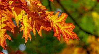 Miła niespodzianka w pogodzie