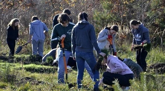 Posadzili dwa tysiące drzew