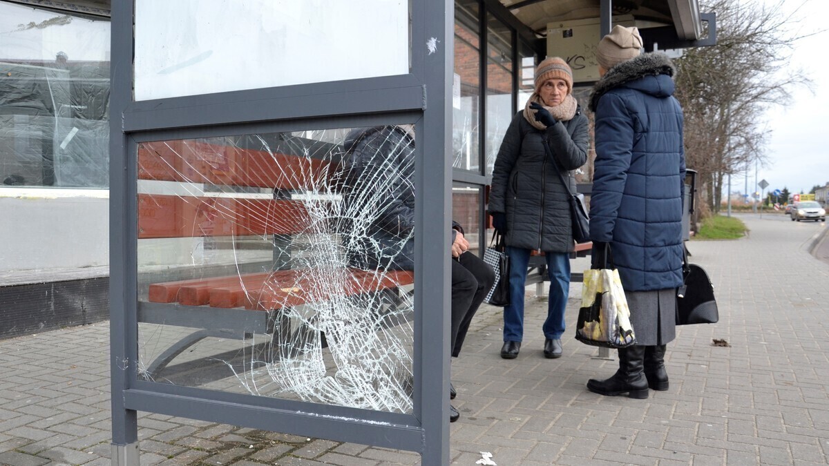 Wandale znowu w akcji ZDJĘCIA