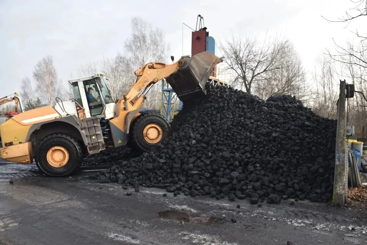 W Piotrkowie został tylko orzech