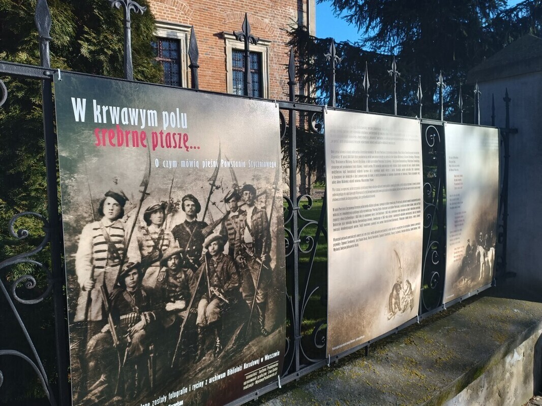 W krwawym polu srebrne ptaszę...