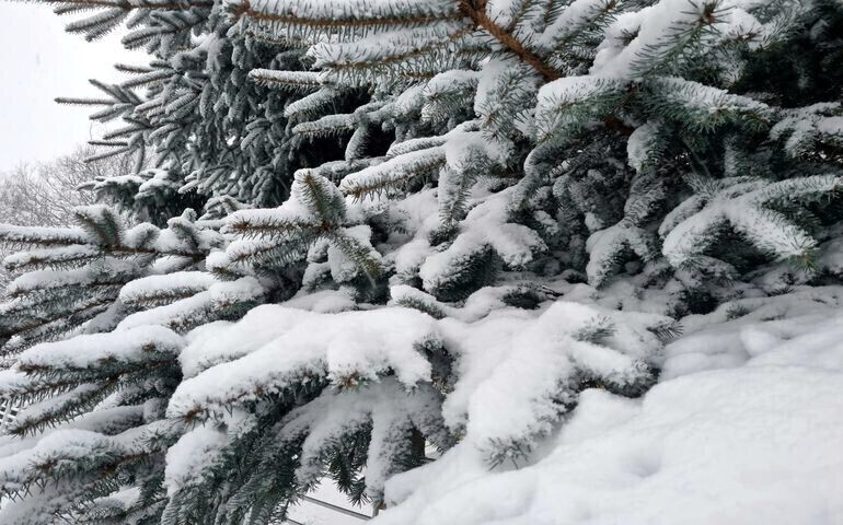 Czeka nas powrót zimy