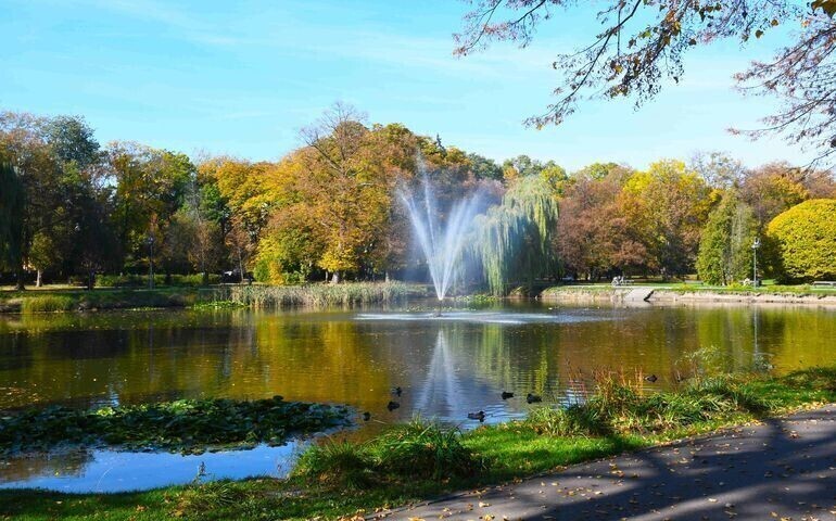 Staw w parku będzie modernizowany