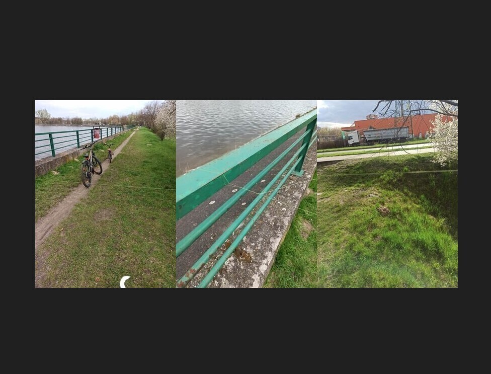 Pułapka Kto zawiesił żyłkę na ścieżce przy Bugaju