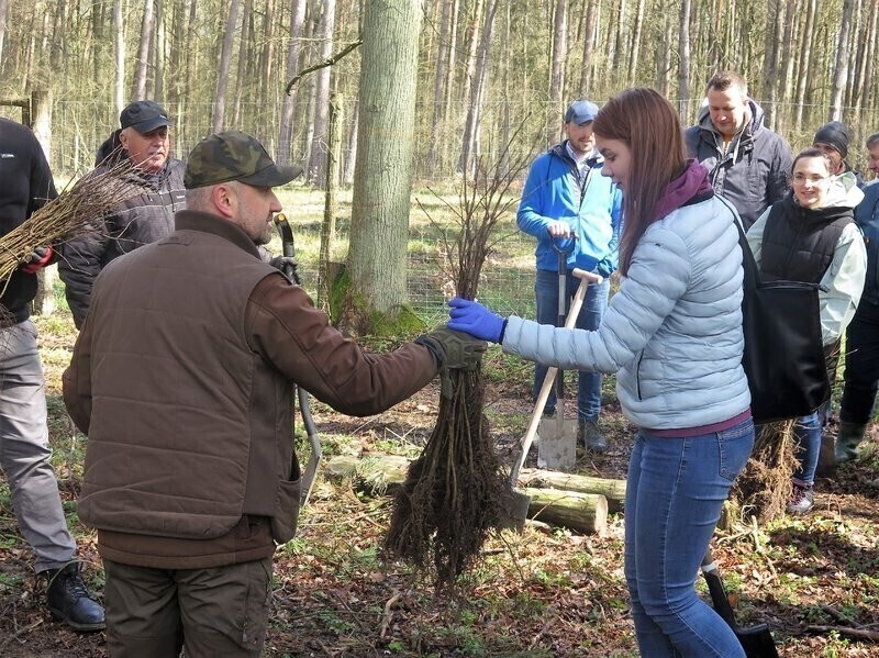 Zapraszają do wspólnego sadzenia lasu