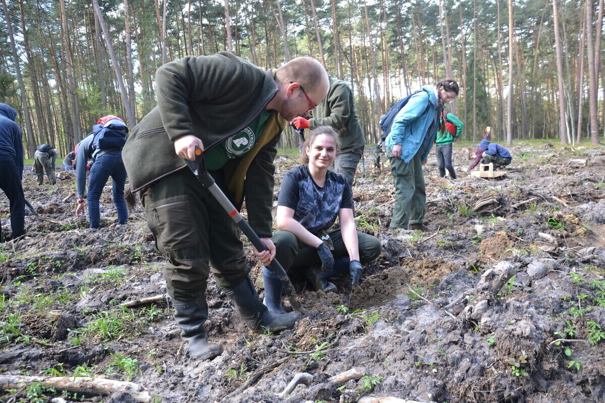 Posadzili drzewa w Uszczynie ZDJĘCIA
