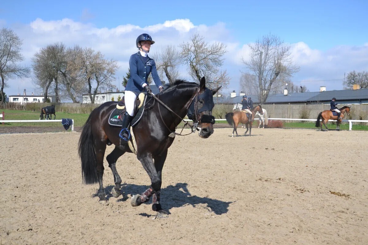 Miłośnicy koni znów zawitali do Bogusławic