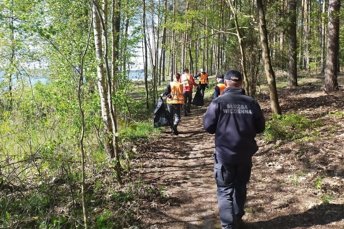 Więźniowie sprzątali las