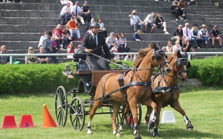 Międzynarodowe zawody i atrakcje dla dzieci