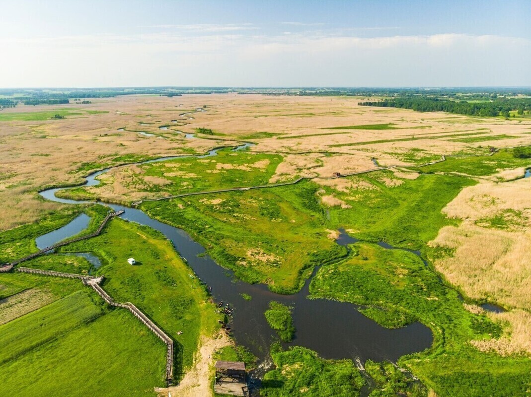 PGE wspiera Magurski Park Narodowy oraz Narwiański Park Narodowy