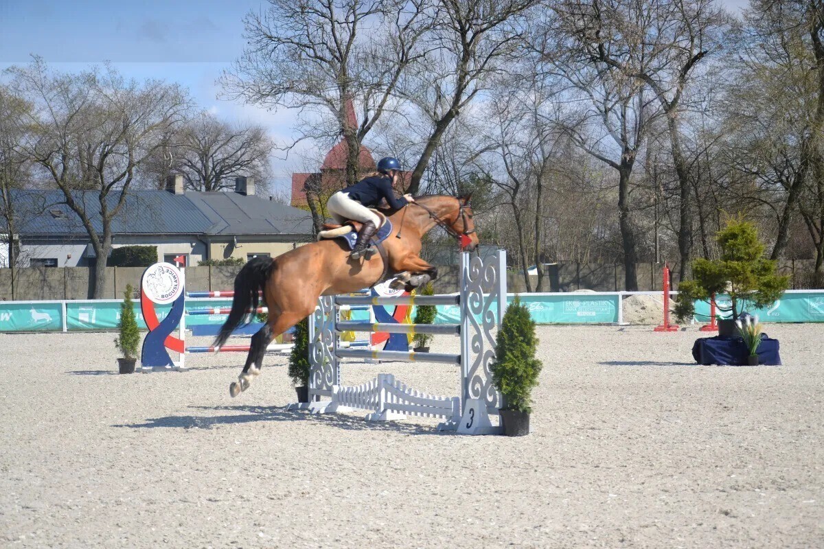 Spędź weekend ze stadem ogierów