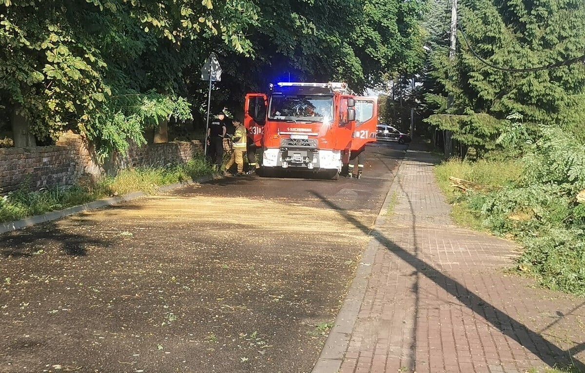 Połamane drzewa zgubione tablice i zalane posesje...