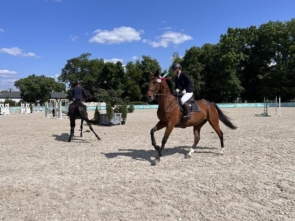 Wojewódzki Czempionat w Bogusławicach