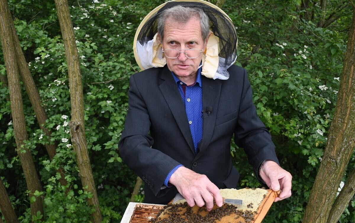 450 litrów miodu z miejskiej pasieki